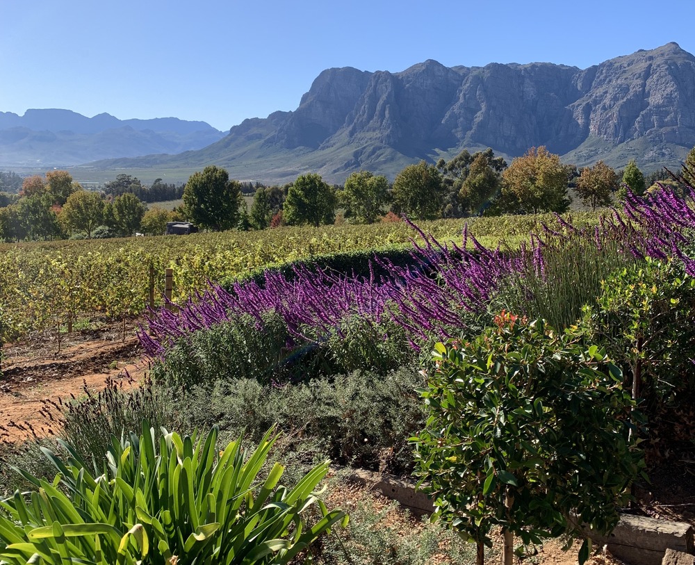 5 vakantietips: van Porto tot Quito