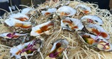_BAUTBackstage_-_oesters._-_de Buik_.jpg