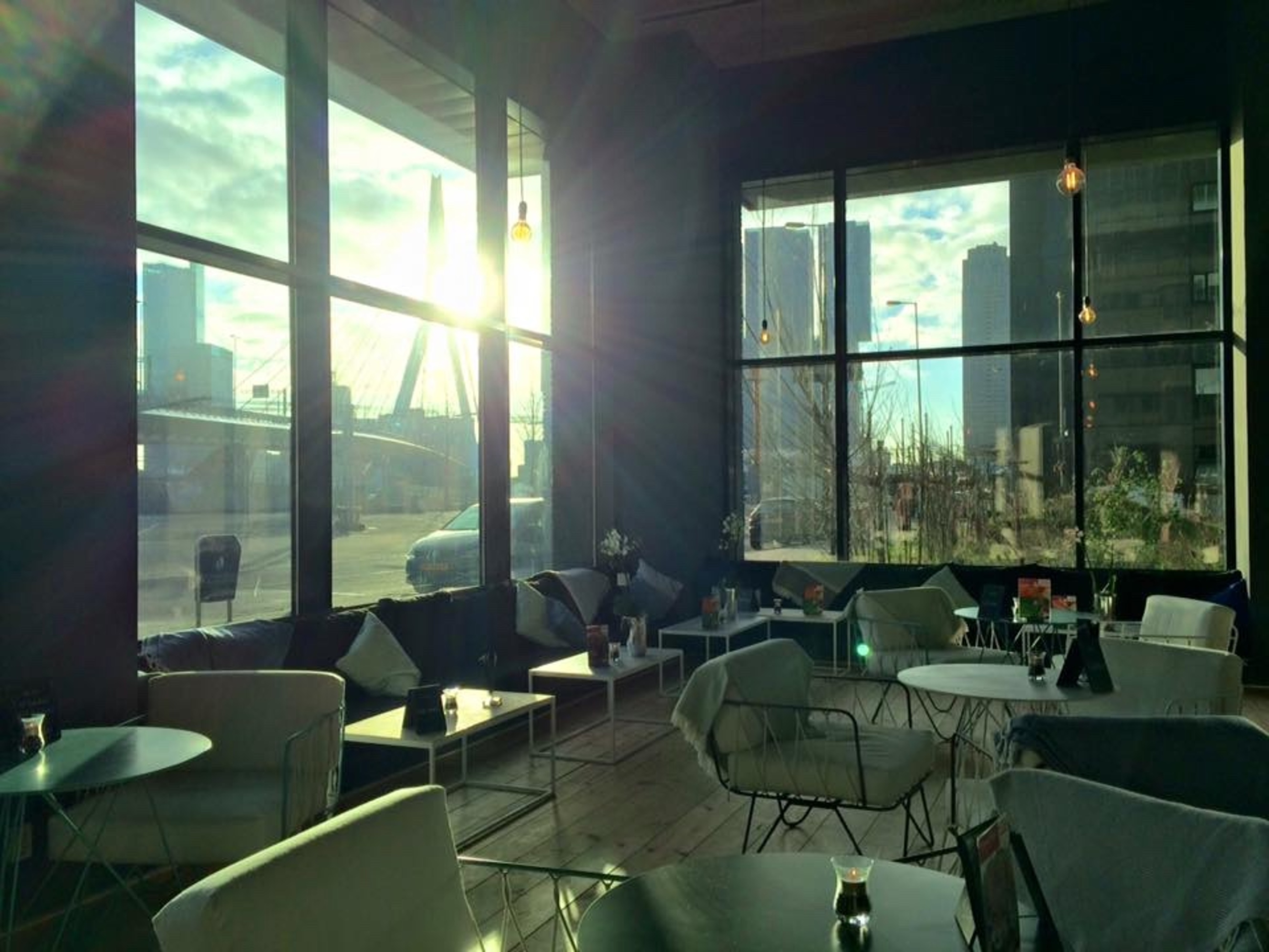 Onder de Erasmusbrug lunch & lounge je bij The Art