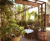 Bistro Zino_exterieur_terras_De Buik Rotterdam.jpg