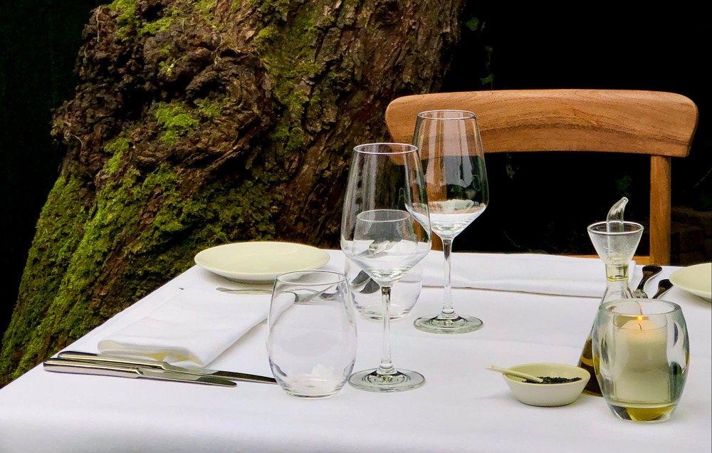 Omringd door groen in hartje Den Haag: 10 restaurants en cafés met een binnentuin