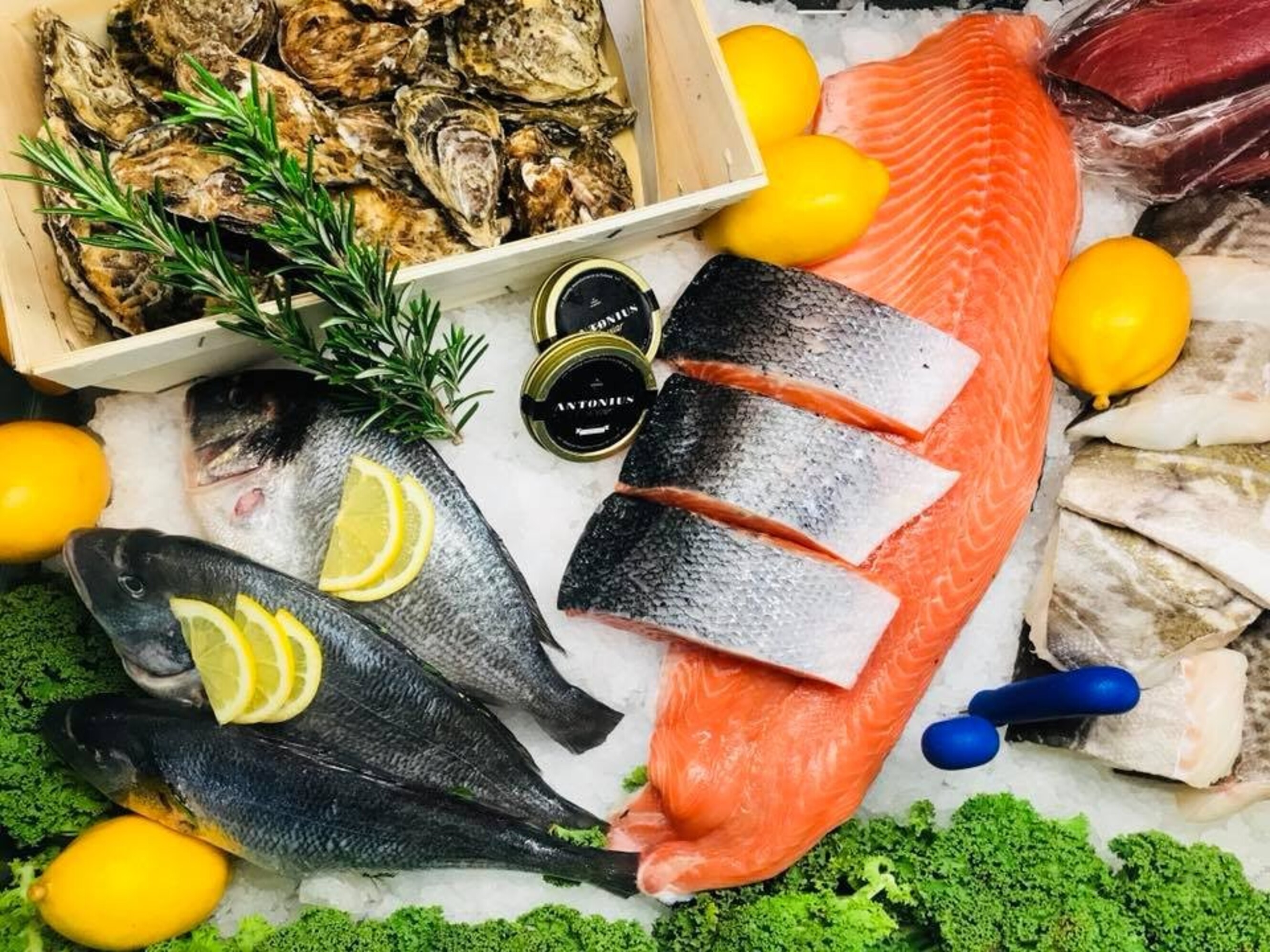 The Naked Fish