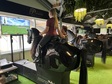 Horsecenter Pirouette_interieur_mechanische paarden_de Buik Rotterdam.jpg