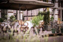 Bistrot du bac de buik van rotterdam -7.jpg