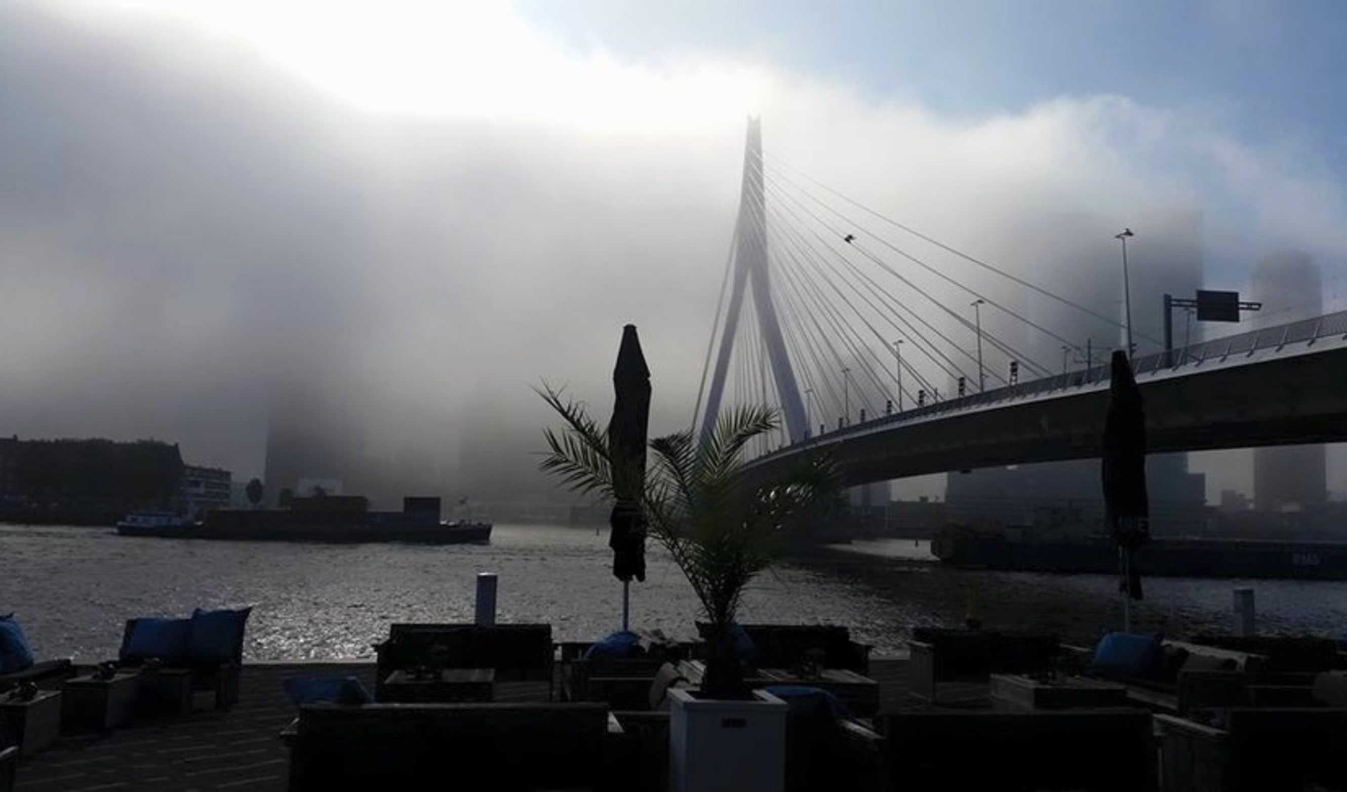 De 4 beste spots tijdens de Wereldhavendagen