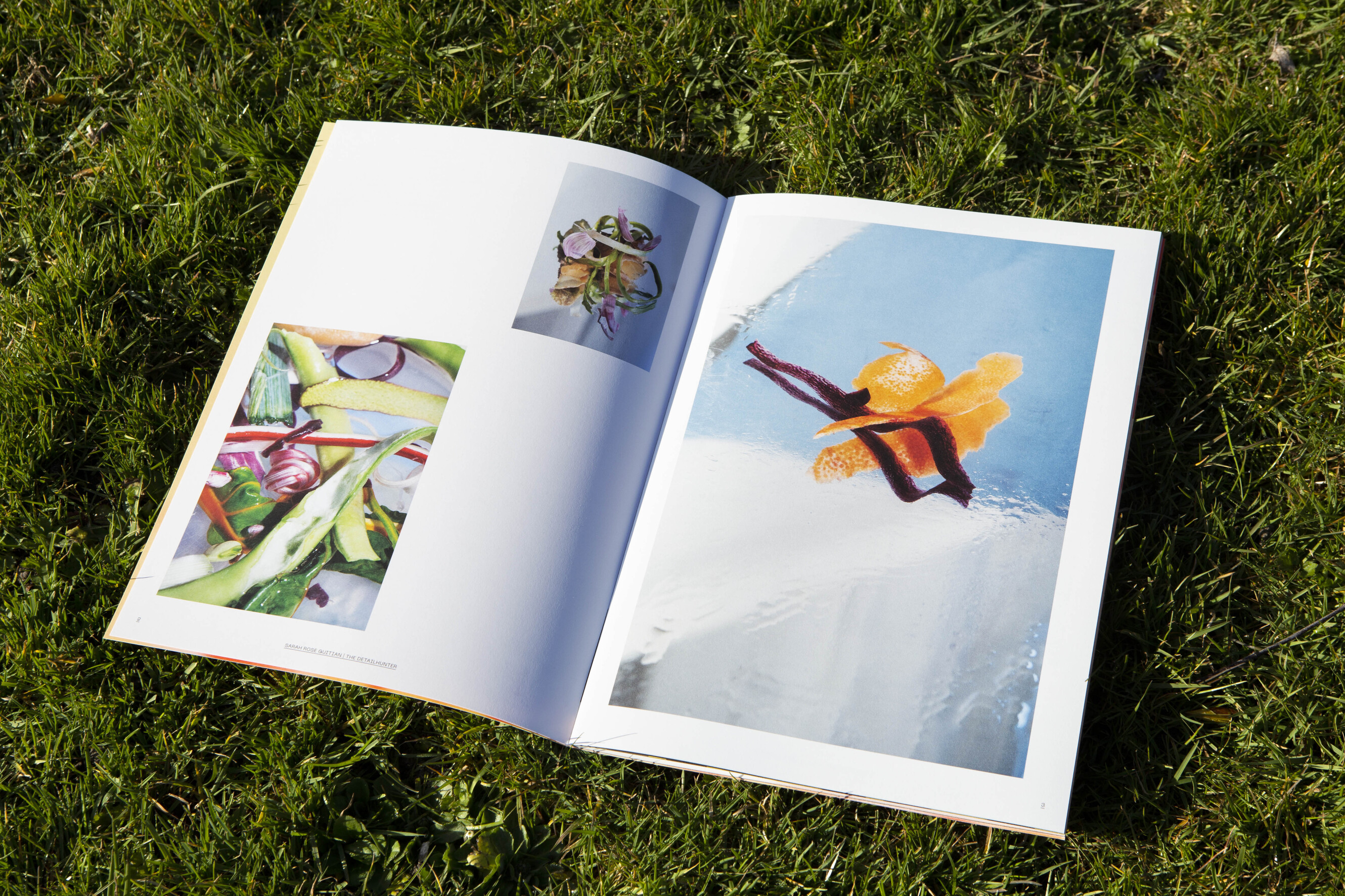Enough Magazine: een fermenterende tempeh bloem uit de 3D-printer en Per's pomecello
