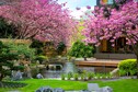 Hotel Okura Amsterdam - Yamazato Restaurant - Japanese Garden 3.jpg
