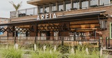 Areia sept-debuikvandenhaag.jpg