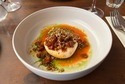 Burrata Zoute Kater Den Haag.jpeg