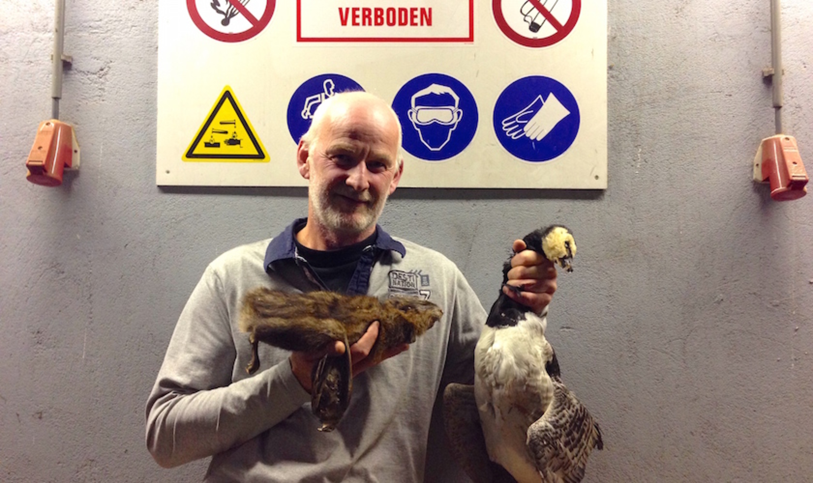 Waarom mag je geen muskusrat en spreeuw eten?
