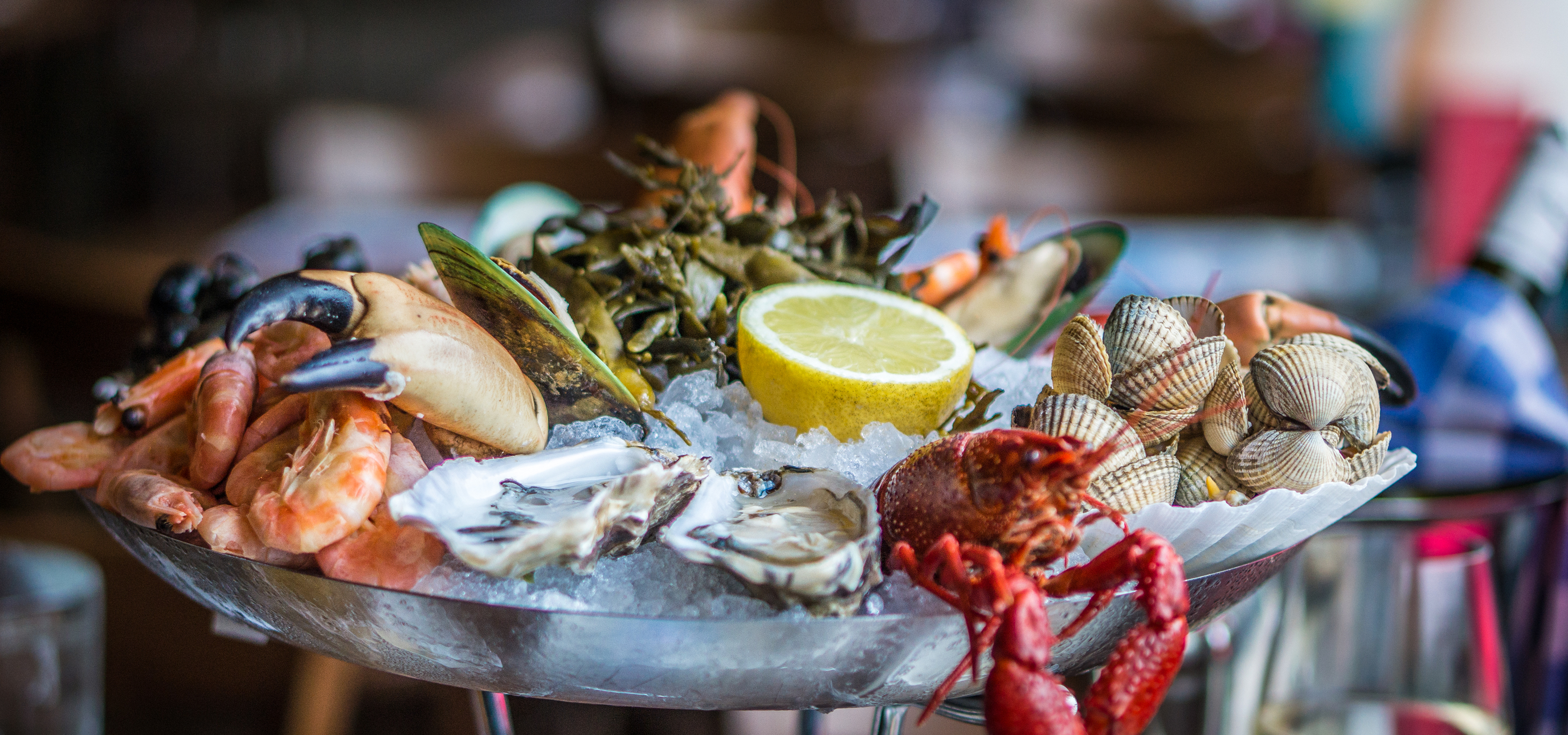 Waarom een dagje Rotterdam begint en eindigt bij Hotel New York