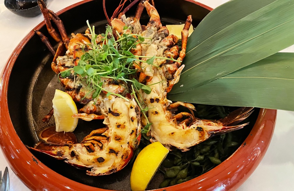 De nieuwe smaken van The Harbour Club Rotterdam