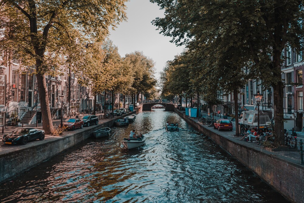 De Buik: een jaar midden in de Amsterdamse foodcultuur