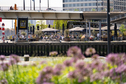 Prachtig terras vanaf boompjes.jpg