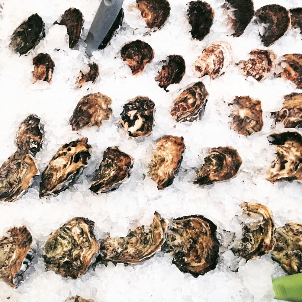 Dol op oesters? Bezoek dan Fjord tijdens de oesterweek
