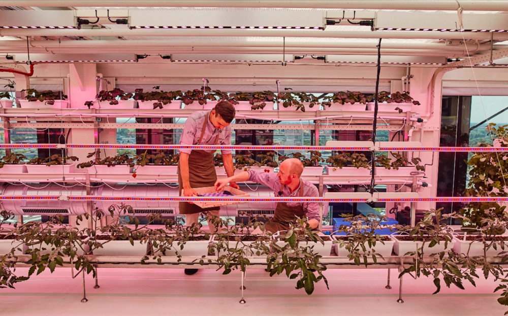 Bij Juniper & Kin eet je op 78 meter hoogte ingrediënten uit eigen kas.
