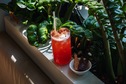 De Utrechter-mocktail-redforest-mesjokke-debuikvanutrecht.jpeg