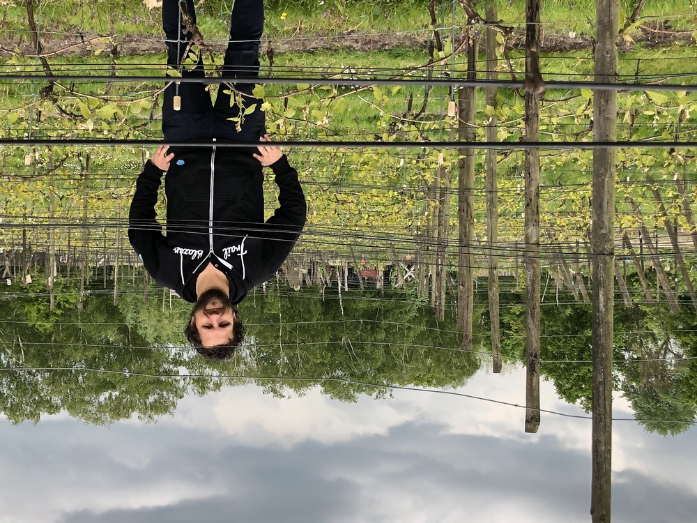 Weinakademiker Wouter heeft zijn hart voor altijd verloren aan wijn