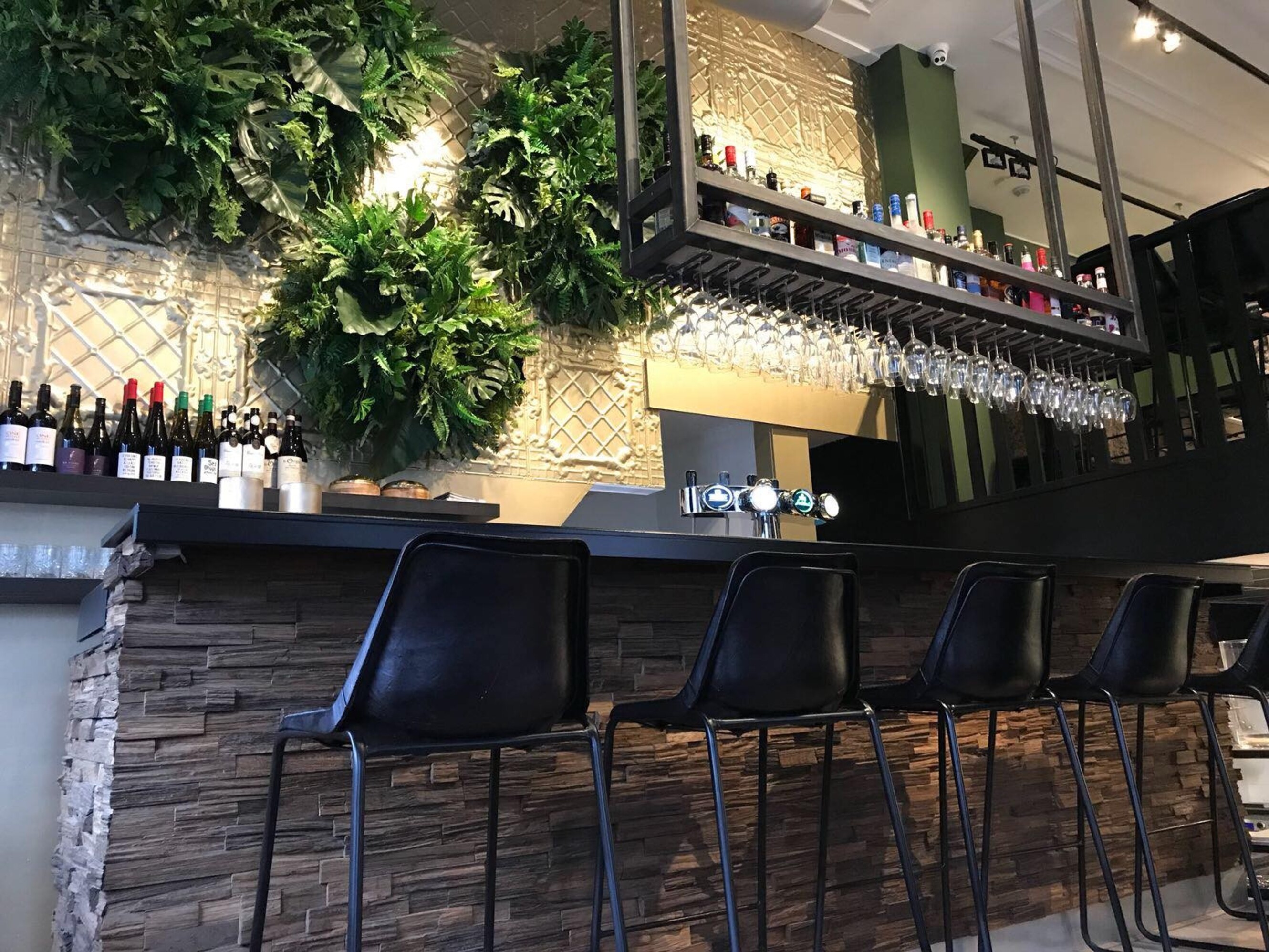 Carolus barbistro