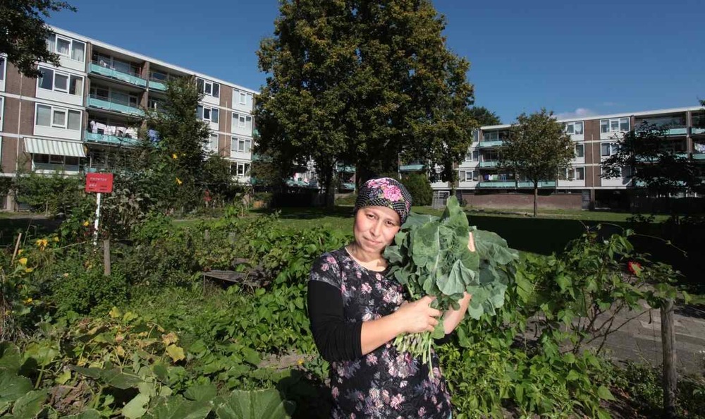 Fatma kookt Kawurma, straks op RotterdamseKost