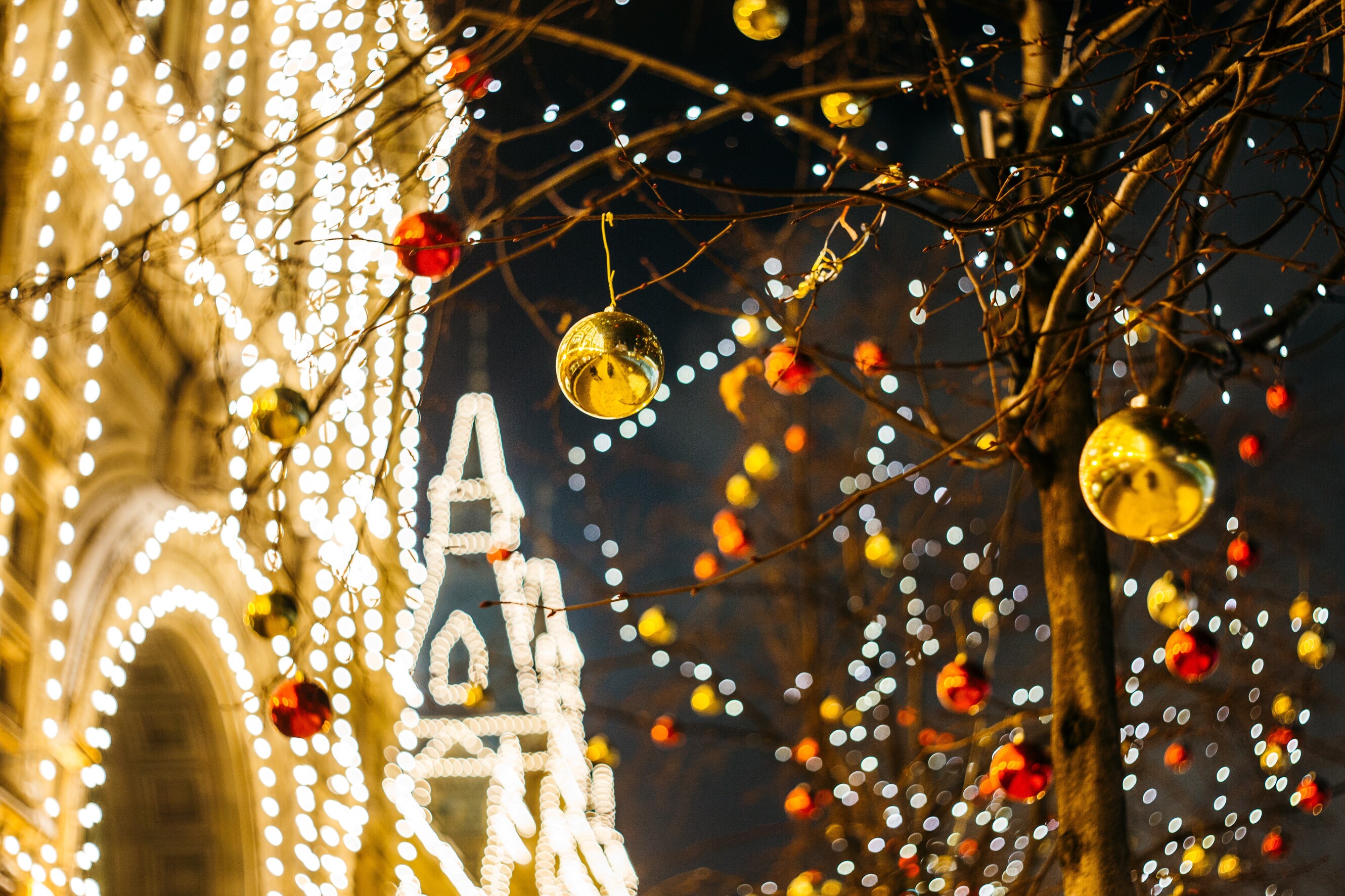 De Buik has your back: hoe bereid je het perfecte kerstdiner?