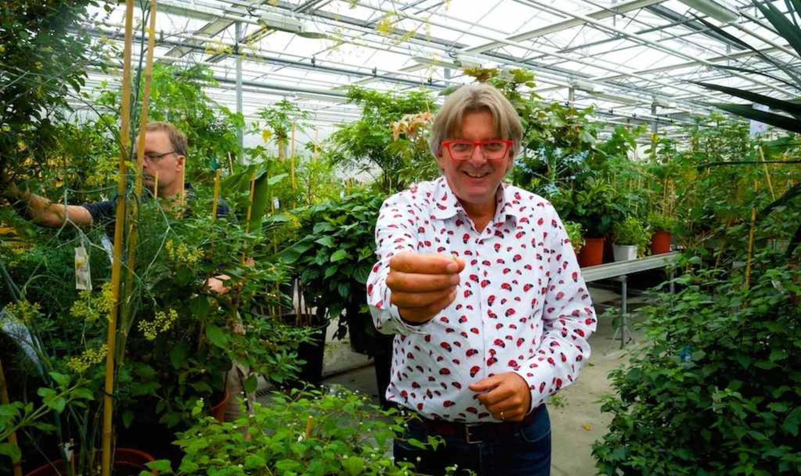 Wonderen van het Westland # 1: Rob Baans powercress