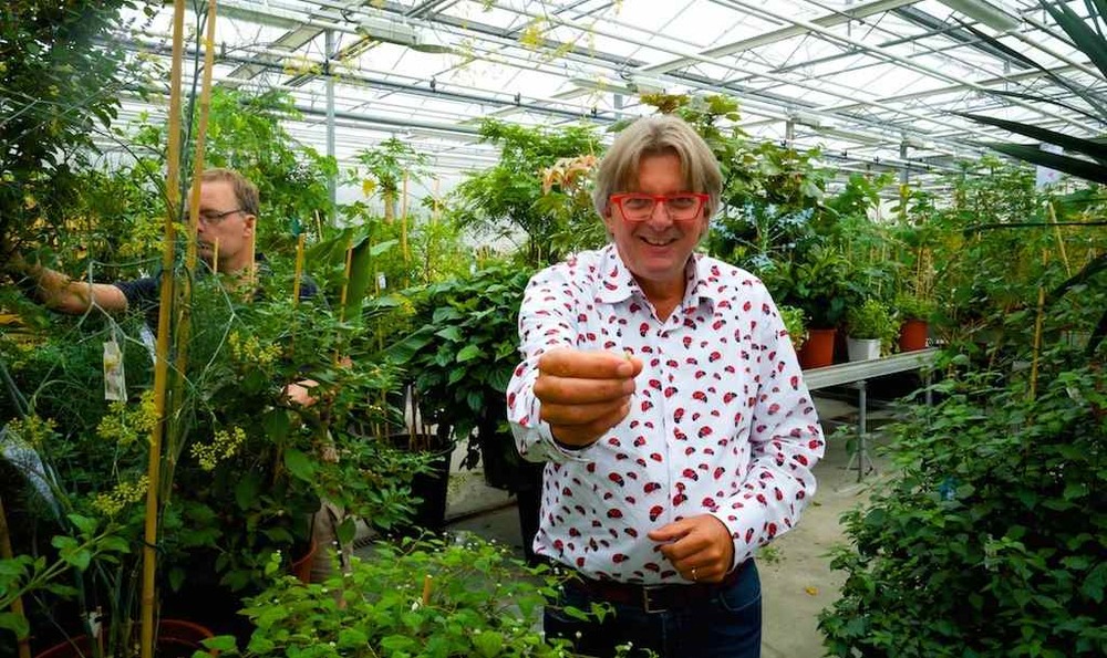 Wonderen van het Westland # 1: Rob Baans powercress