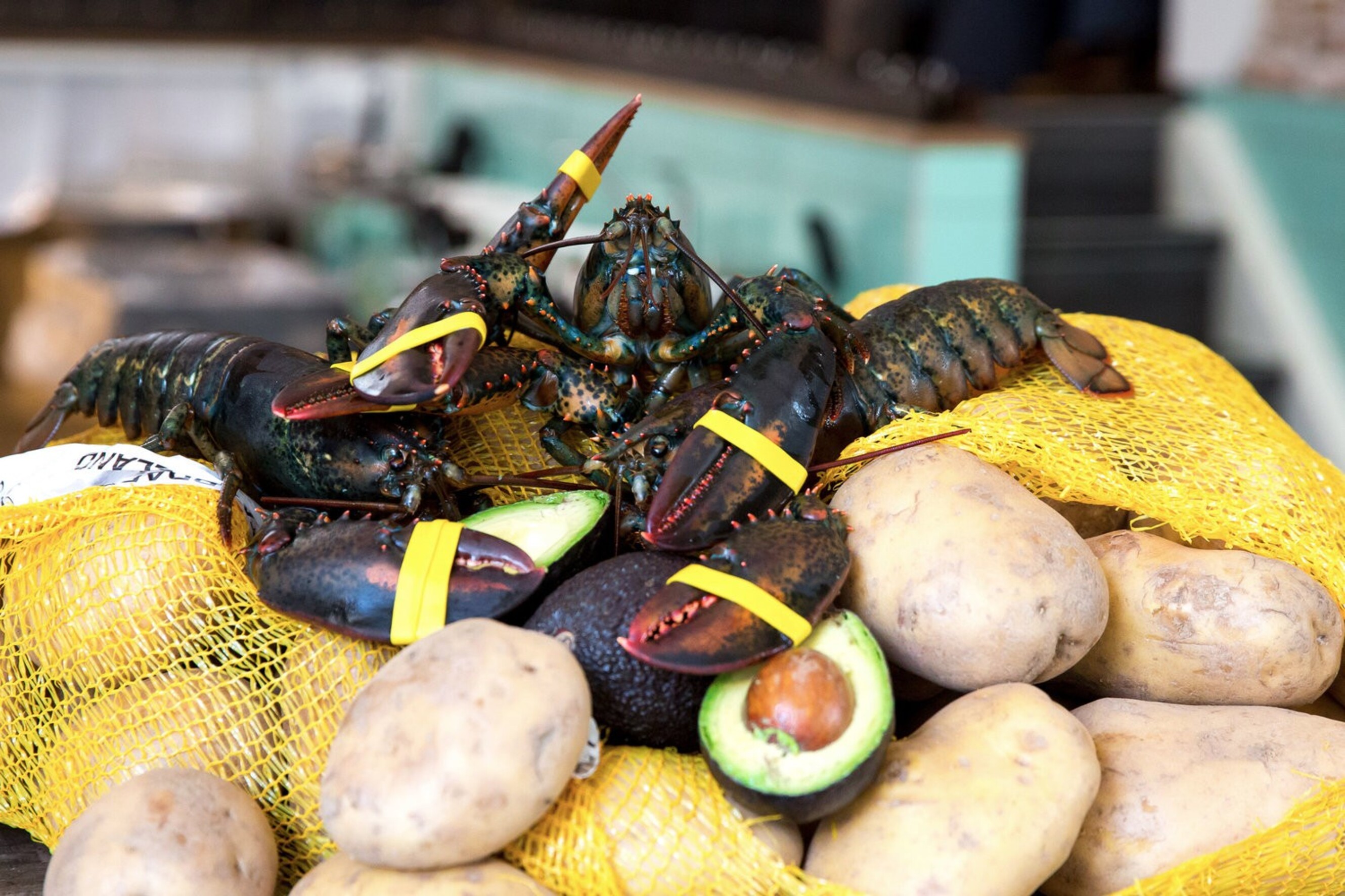 Liefde gaat door de maag: lobster fries bij Frietboutique