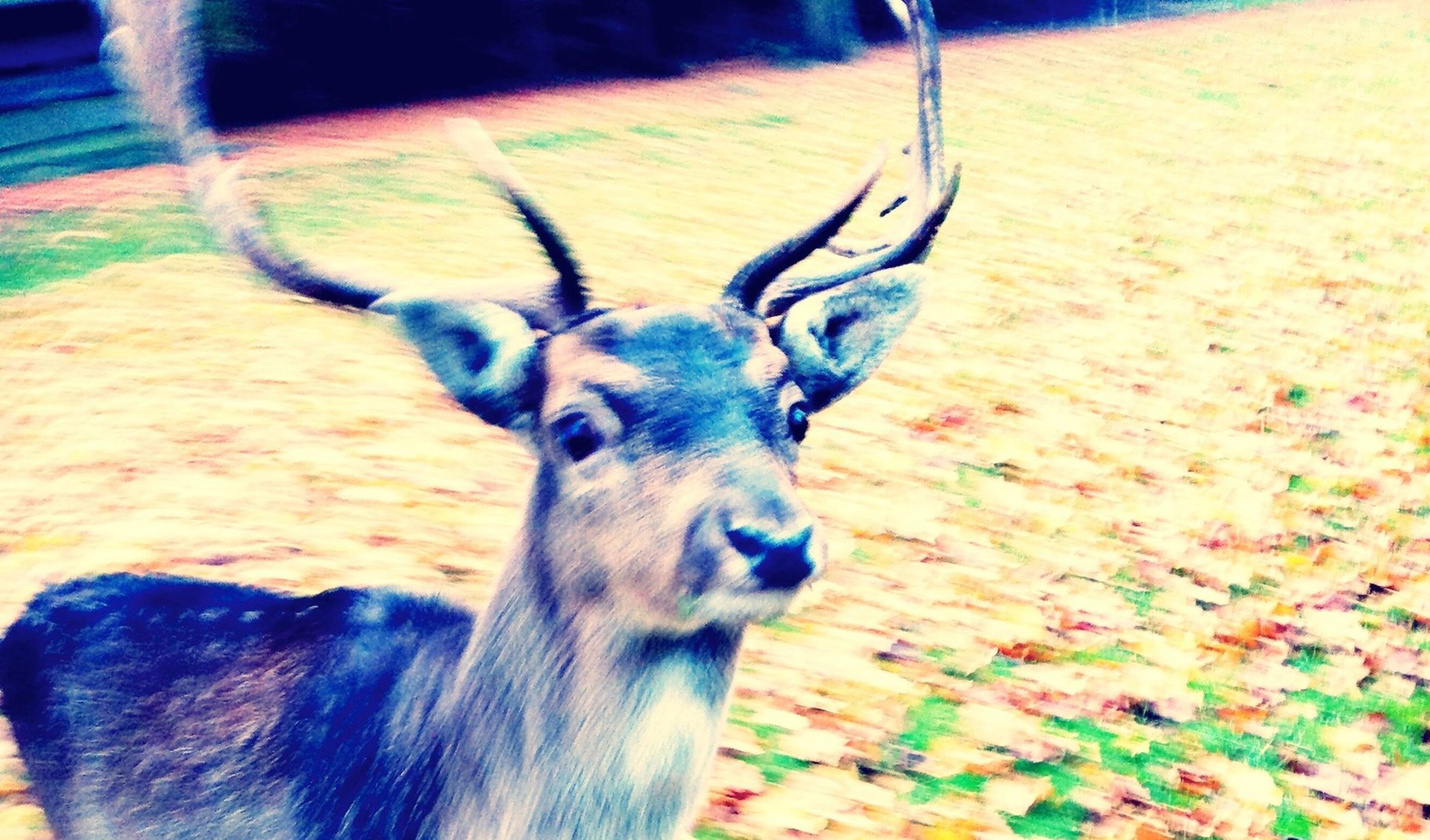 De 10 beste plekken om te genieten van de herfst