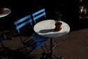 Bartine - Terras - de buik van den haag.jpeg
