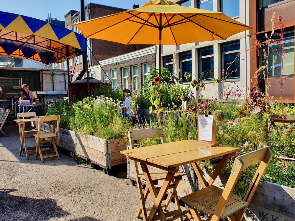 Wijntuin Choux: genieten van natuurwijnen tussen de kruiden