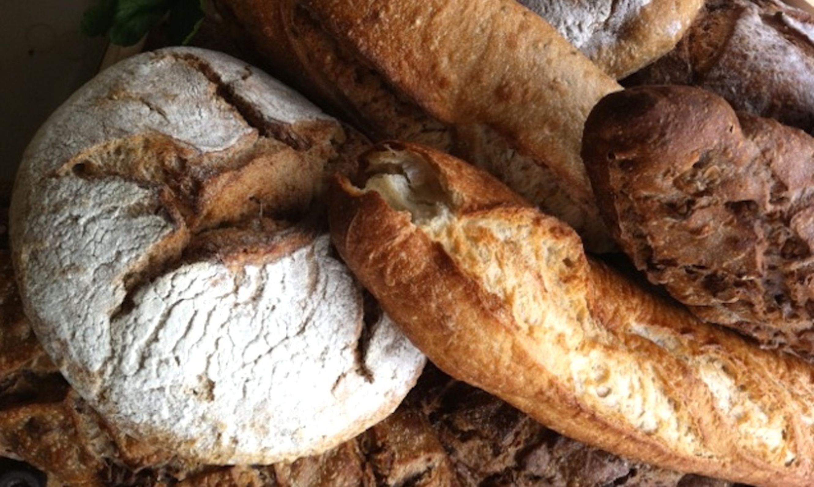 Als warme broodjes over de Rotterdamse toonbanken