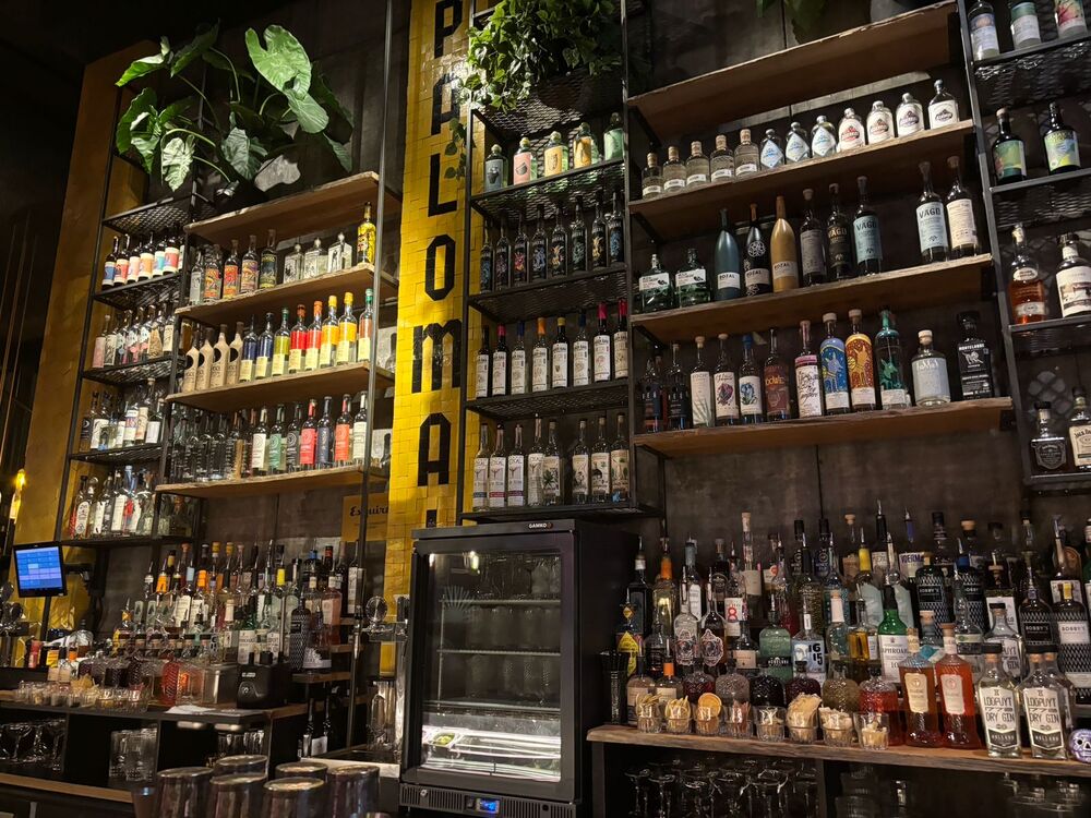 Van taco’s tot paloma’s: Botanero brengt kleur in de stad
