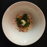 Het is herfst bij Restaurant Wereldmuseum