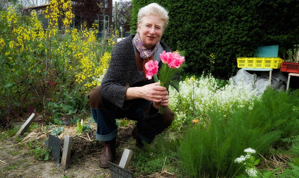 Hoezo in een vaas als je een tulp ook kunt eten?