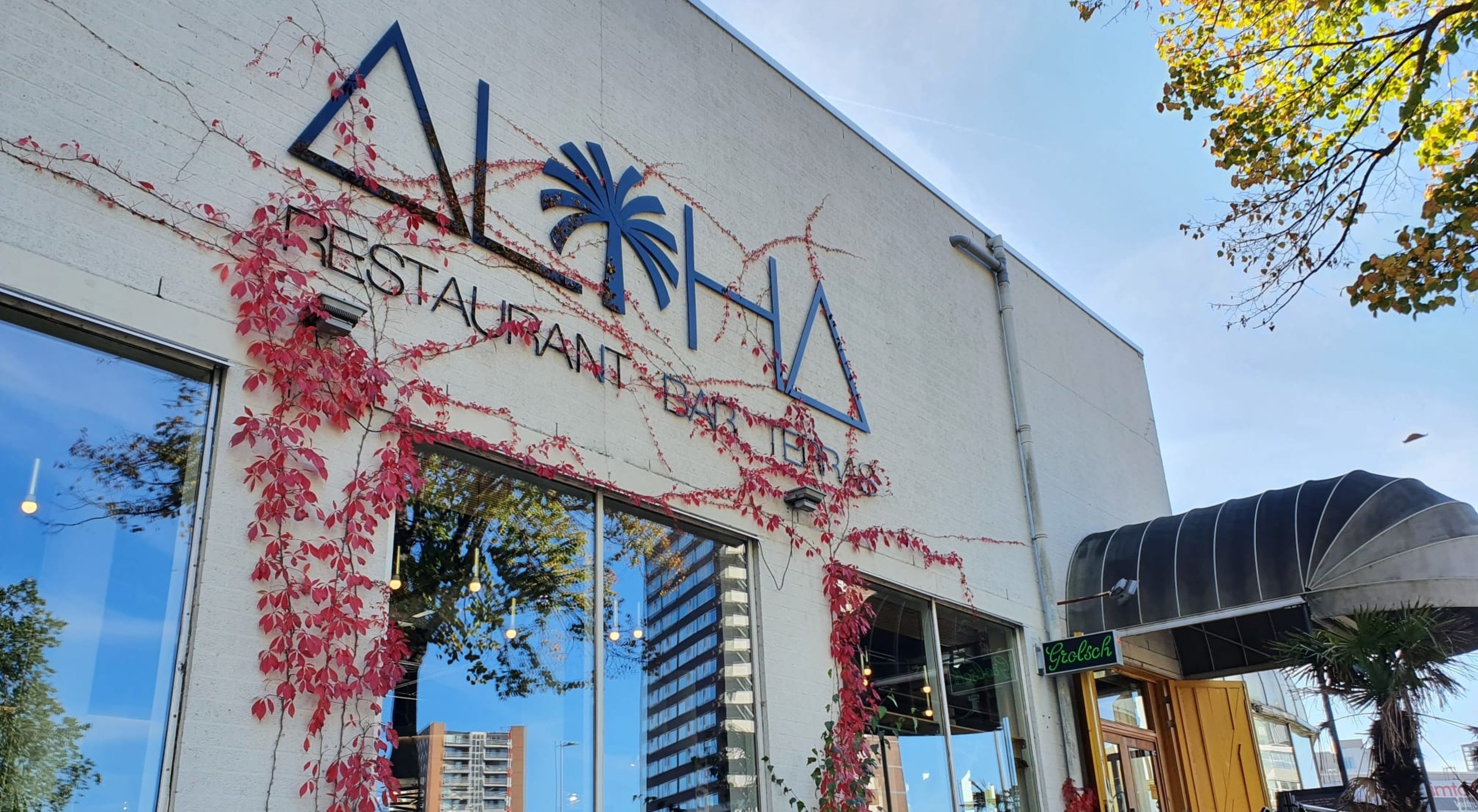 Aloha haalt hun creativiteit dichtbij huis vandaan