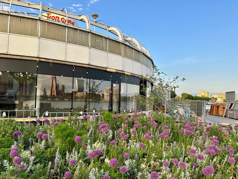 Vet & Lazy Bierkaai De Buik van Rotterdam