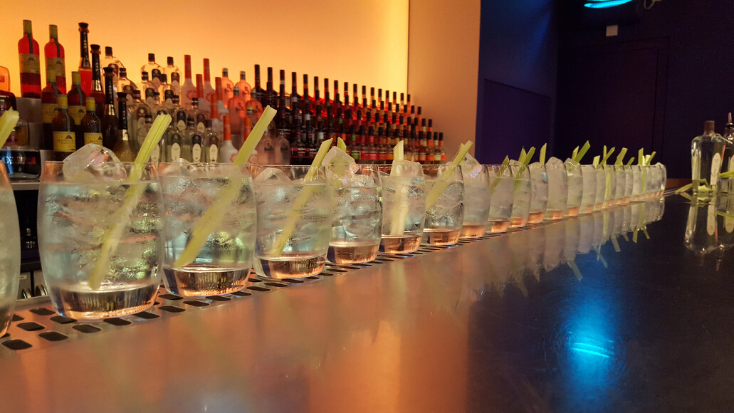 Gin Tour door de Jeneverstad van de wereld