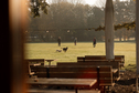 Vroesenpaviljoen - terras - de Buik van Rotterdam.jpg