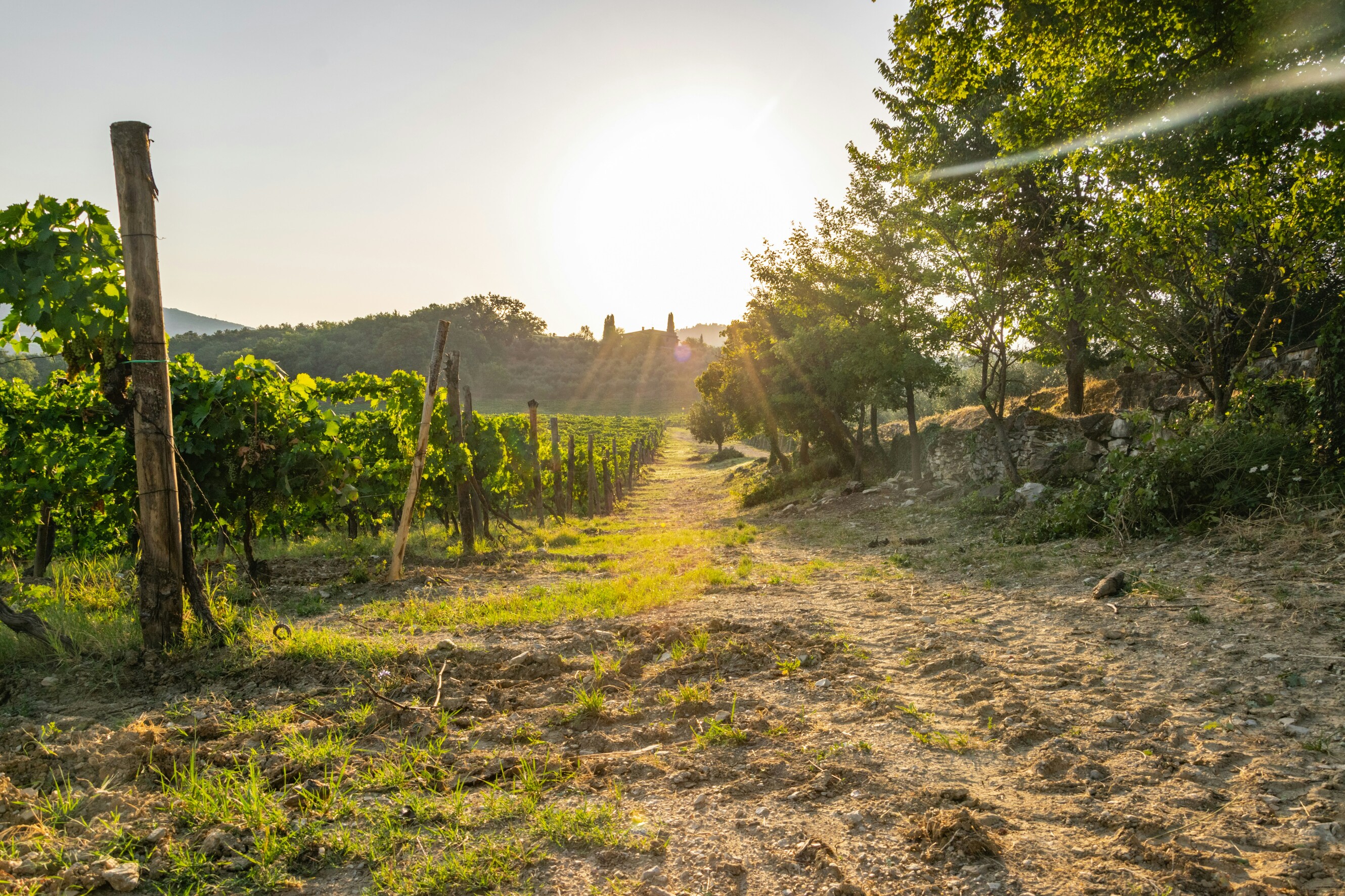 5x lekker eten in de Chianti streek