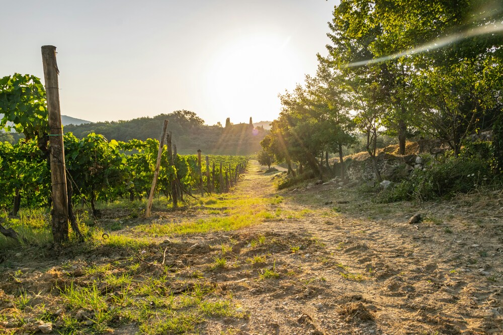 5x lekker eten in de Chianti streek