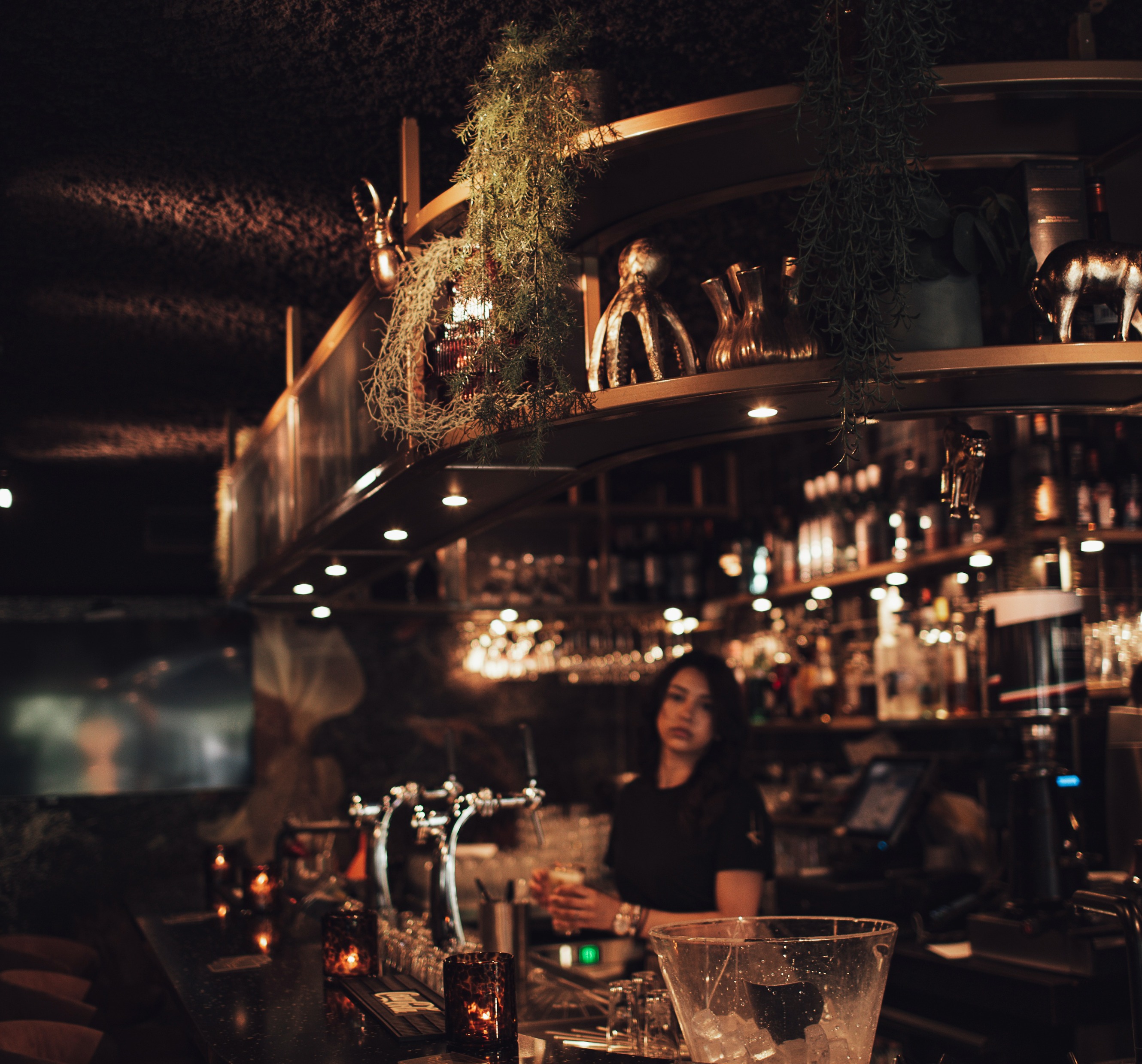 Bar Hendrik