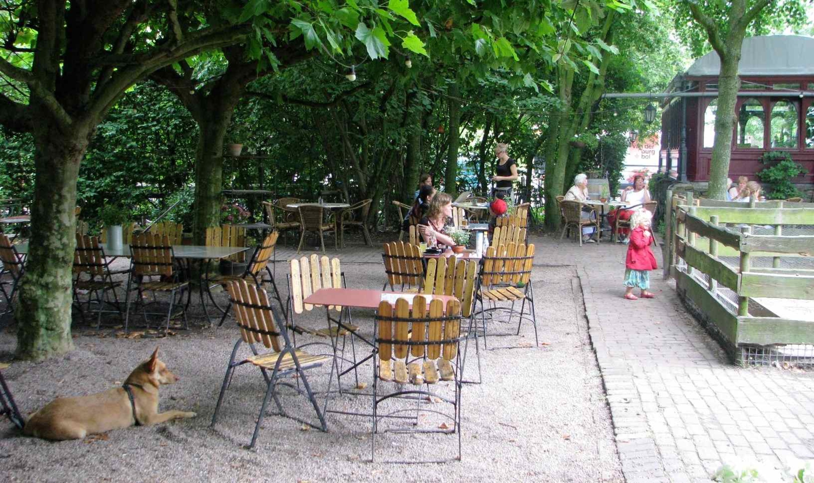 Eten tussen de kippen in de polder in Café du Midi