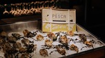 PESCABYNIGHT_ - de Buik van Rotterdam-20.jpg