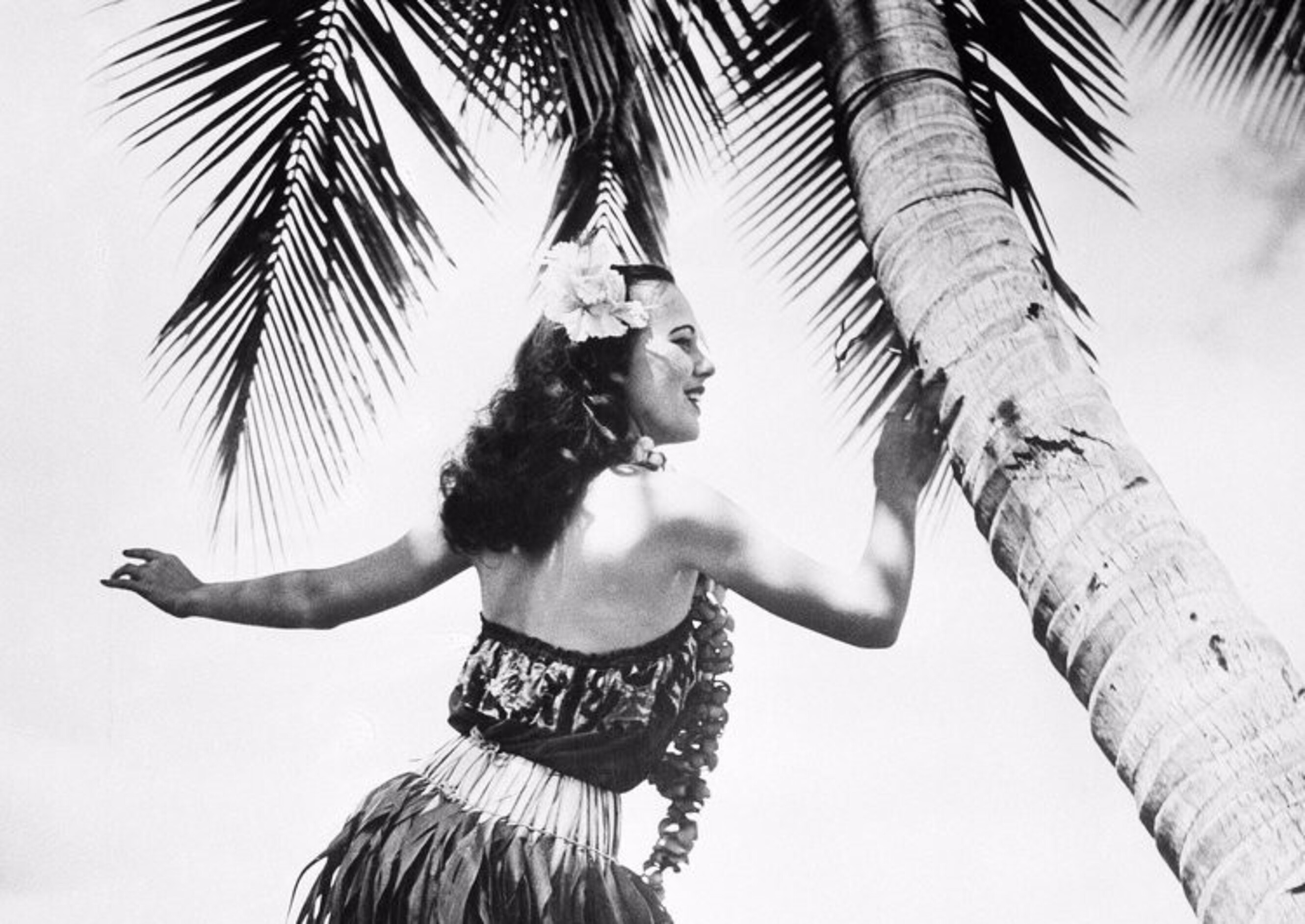 De eigenaren van de Chin Chin Club komen met wat nieuws: Hula Hula