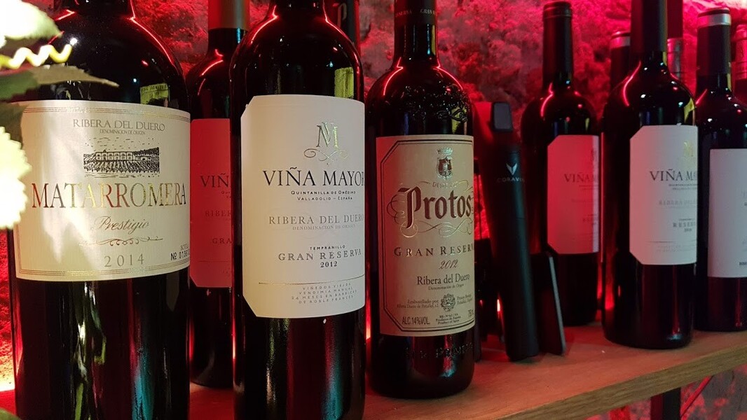 Ribera Del Duero Pop Up Wijnbar Tijdelijk Vino Tinto Paradijs De Buik Van Amsterdam