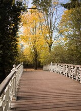 11x wandelen en heerlijk eten in Amsterdamse bossen & parken