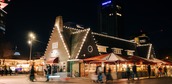 January11,2025-Polly-NinaSlagmolenDSC00127-debuikvanamsterdam.jpg