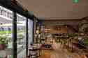 trattoria sophia - interieur 2 - de buik van rotterdam.JPG