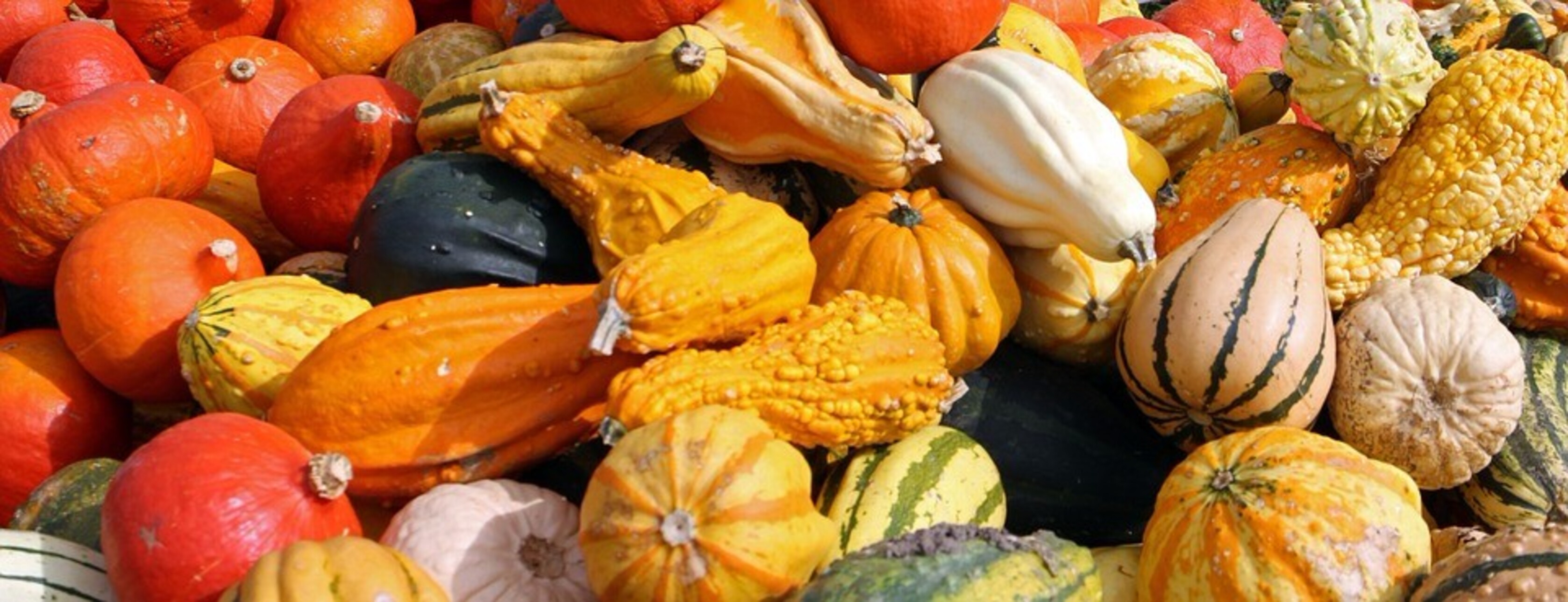 Harry's column: herfst